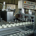 Ice Cream Filling Machine, Used for Producing Different Types and Colors of Ice Creams